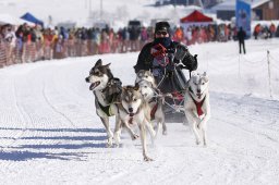 Lenk 2013
